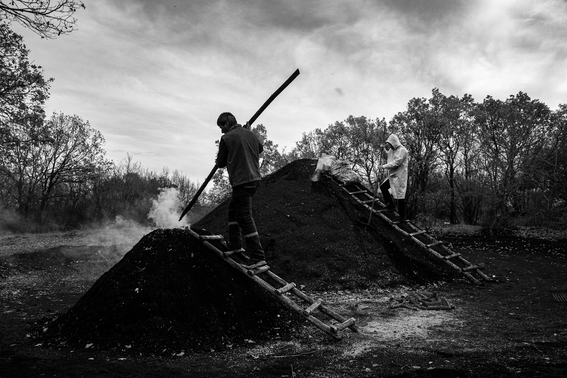 Robotnicy przy produkcji węgla drzewnego na wsi w Turcji