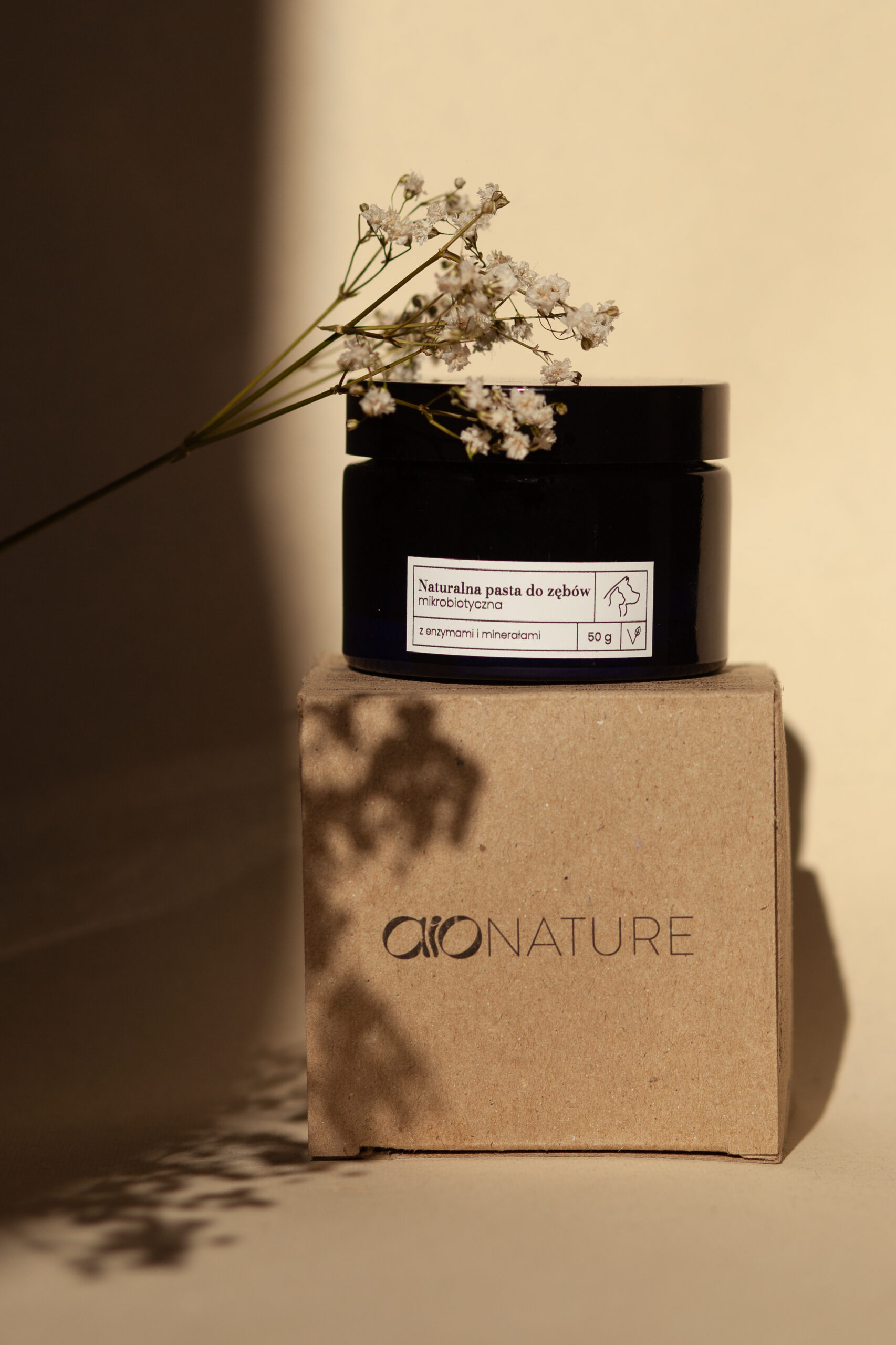 Kamień na zębach u psów — objawy, jak usunąć i jak zapobiegać