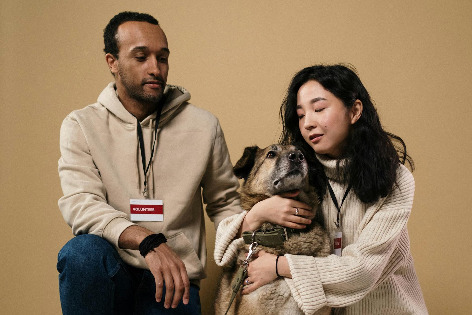 Para wolontariuszy w studiu przytula psa ze schroniska
