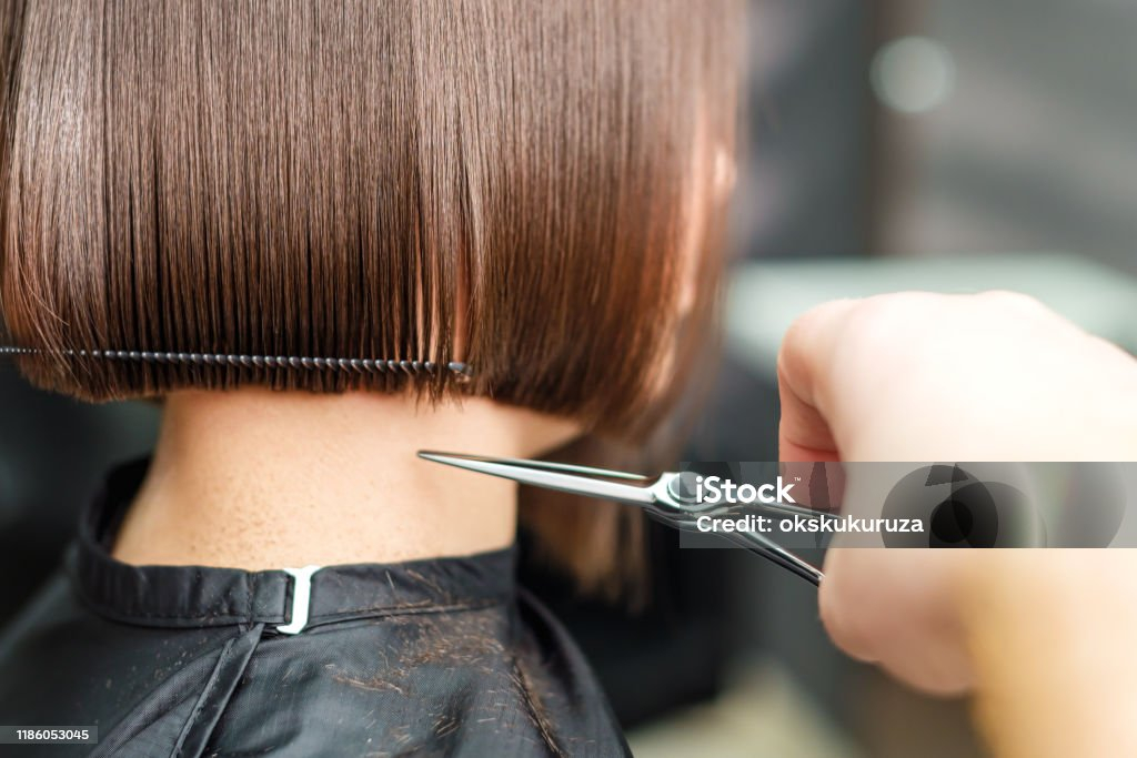 fryzjer damski we wrocławiu